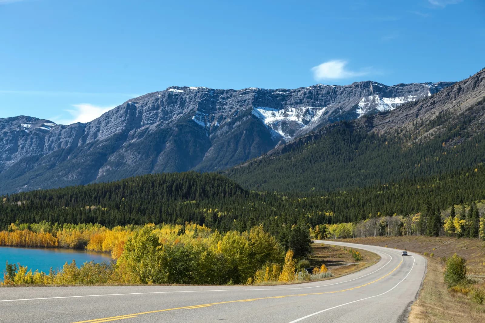 Quality Fuel and Lubricant Services for Red Deer Businesses